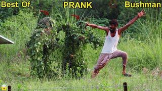 BEST OF Fainting Reactions! SCARE BUSHMAN PRANK FAILS OF 2024