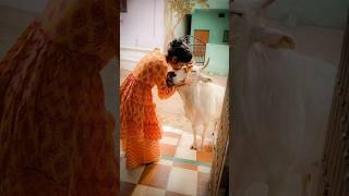 Beauty of sanatan dharm..  #shortsfeed #shorts #trending #trendingshorts #bhakti #bhajan