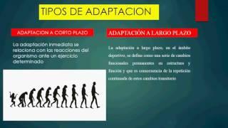 MECANISMOS DE ADAPTACIÓN