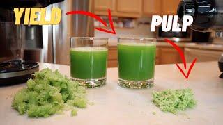 BEST CELERY JUICER AMZchef Juicer versus OMEGA MM900HDS Juicer | Juicer Review Yield Pulp Foam Taste