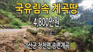 [계곡땅]속리산 국유림 300만평 자연 원시림 에서 심신을 치유 하실분 오세요!!#충청도땅매매#괴산땅매매#충북토지매매#청천면토지매매#시골땅매매#전원주택매매#농가주택매매#경기도땅매매