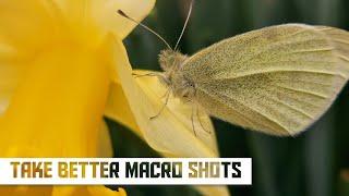 How to take better Macro Photos on the Galaxy S23 Ultra