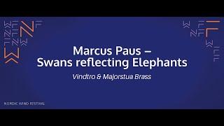 Marcus Paus - Swans reflecting Elephants