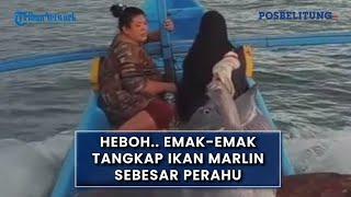 HEBOH.. Emak-emak Tangkap Ikan Marlin Sebesar Perahu