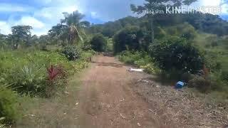 FERNS agricultural farm tour | Saint Bernard| Southern Leyte, Philippines