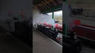 Eastleigh Lakeside Steam Railways #visithampshire #eastleigh #shorts #shortsfeed