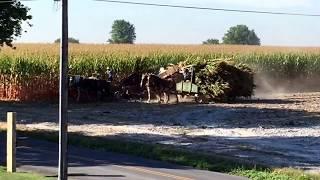 Amish silo filling