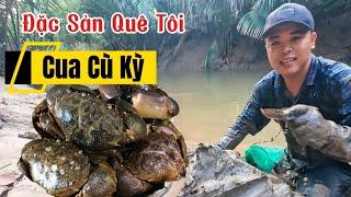Săn Cua Cù Kỳ Đặc Sản Quê Tôi | Catching Mangrove Crab – A Local Delicacy.
