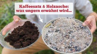 Vorteile & (oft verschwiegene) Gefahren von Kaffeesatz und Holzasche im Garten!