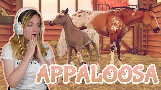 BREEDING GORGEOUS APPALOOSA COATS - Rival Stars Horse Racing | Pinehaven