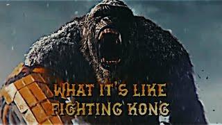 Devon Films what it's like to fight Kong