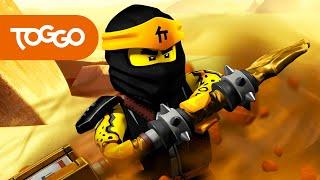 NINJAGO Deutsch | COLE Highlights | LEGO 20 Minuten | TOGGO Serien