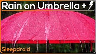 ► Rain on an Umbrella ~Rain & Thunder Sounds for Sleeping, Rain Under Umbrella (Lluvia Para Dormir)