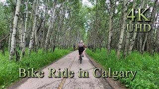 Relaxing Bike Ride Around Glenmore Reservoir - Best Calgary Bike Trail - Alberta, Canada - 4K Video