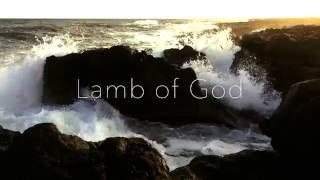 David Brymer - He is Jesus (Official Lyric Video)