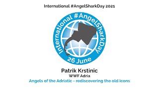 International #AngelSharkDay 2021: Patrik Krstinic (WWF Adria)