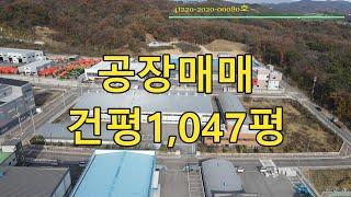 안성공장매매 용인과 평택의 중심의 위치  부지 3,794평  안성 용인 평택 토지전문 정옥부동산 010-8942-8113