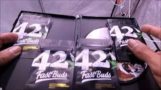 UNBOXING 420 Fast Buds Premium American AutoFlower SeedsNew OFFICIAL SPONSORSHIP TEAM MEMBER DAY 57