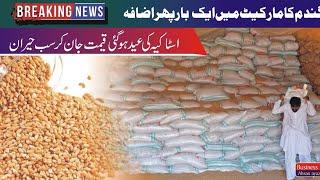 Wheat rate in Pakistan|wheat price Today|business ideas Ahsan ayaz559