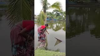 Amazing woman cast net fishing in pond #shorts