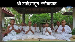 Nectar of Instruction recitation by ISKCON Salem Gurukula students | Upadeshamrita