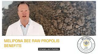 MELIPONA BEE RAW HONEY™ PROPOLIS: NEW INSIGHTS FOR ANTICANCER DRUGS.