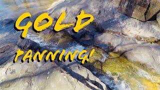 Gold Panning with the FLOWPAN and Gold Claw!