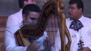 SONES DE VERACRUZ - MARIACHI NUEVO TECALITLAN