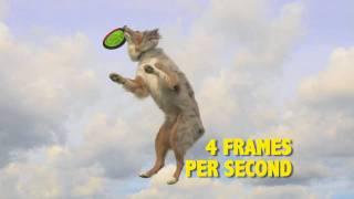 Nikon D5000 commercial - 4 frames per second, english