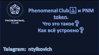 Phenomenal Club и PNM token  Что это такое Как всё устроено Мой заработок в