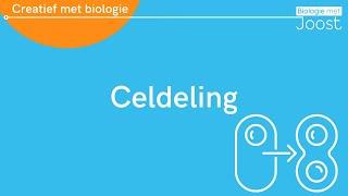 Celdeling | Gewone celdeling en reductiedeling | Mitose en meiose | Creatief met Biologie