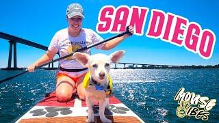 WHY YOU NEED TO VACATION IN SAN DIEGO | Mouse Vibes