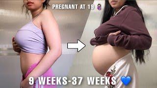 PREGNANCY BELLY PROGRESSION | FIRST PREGNANCY