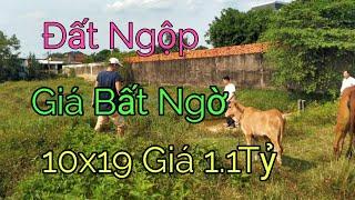 Bán Nhanh Cắt Lỗ Một Lô 10*19 Giá 1.1 Tỷ