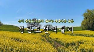 눈이 즐겁고 마음이 들뜨는 아름다운 농촌 경관보전직불제