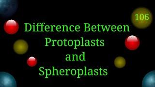 Difference Between Protoplasts and Spheroplasts @EnteMicrobialWorld#microbiology #microbes #cells