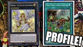 *YUGIOH* SHIRANUI SYMPHONIC LIGHTSWORN DECK PROFILE W/ GRASS LOOKS GREENER! Ft.JESSE KOTTON! 2017!