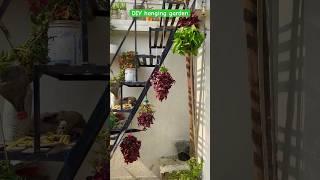 Hanging plants outdoor || hanging plants ideas ||best hanging plants