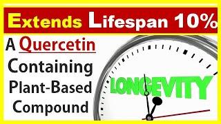 Extends Healthspan & Lifespan 10% - A Quercetin Containing Plant-Based Compound | Study Review