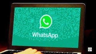 Как скачать whatsapp на компьютер бесплатно | 3 способа как установить ватсап