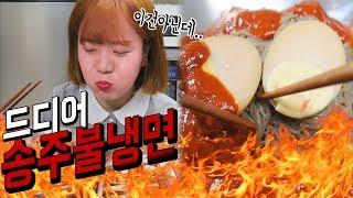 드디어.. 송주불냉면 매운맛 지존단계 + 소금 막창 먹방 Mukbang