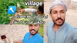 hamare Yahan kitni khubsurti hai  village in the Pakistan vlog on you tube my fast village