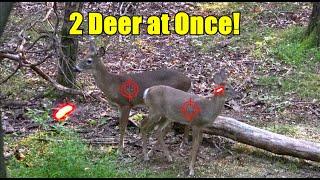 SHOOTING 2 DEER AT ONCE!  #hunting #archery #bowhunting #wildlife