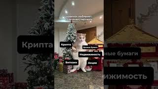 Куда инвестировать новичку в 2024 году?