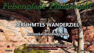 Ein Highlight im Pfälzerwald | Altschlossfelsen | 1,5 km Lang und 30 m Hoch | Eppenbrunn | 