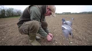 Pigeon shooting on spring drillings