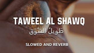 Taweel Al Shawq | Slowed + Reverb 