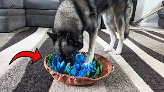 My Dogs LOVE This Snuffle Mat! It Slows Down Their Eating!