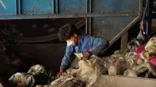 بازیافت | Recycling