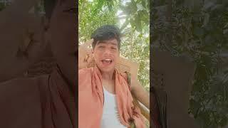 Photo Chhapi Aakhwar me #shorts..... more